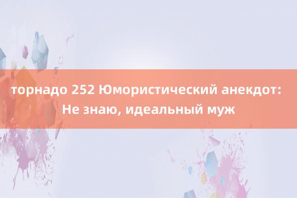 торнадо 252 Юмористический анекдот: Не знаю, идеальный муж